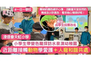變色龍入水泉澳幼稚園 變色龍和天虹小學學生齊做小老師 教愛護動物