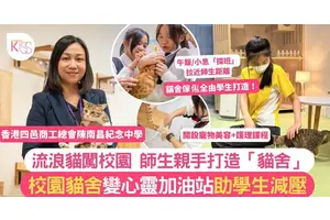 貓義工｜流浪貓闖校園 師生親手打造「貓舍」心靈加油站