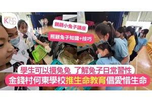 金錢村何東學校讓同學「親親小兔子」倡生命教育 尊重＋愛惜生命