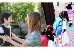 升小學先了解 比較多「英中」的五個小學校網排序 一條龍＋世襲小學列表