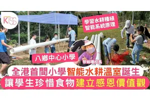 全港首間小學的智能水耕溫室誕生  學生可以將作物帶回家與家人分享