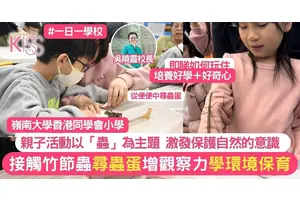 竹節蟲帶嶺小學生了解大自然 從找竹節蟲到尋蛋 種下愛護自然的種子