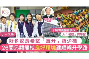 龍校幼稚園｜26間另類「龍校」推介  認識3種直屬學校之別 順暢小一入學之路
